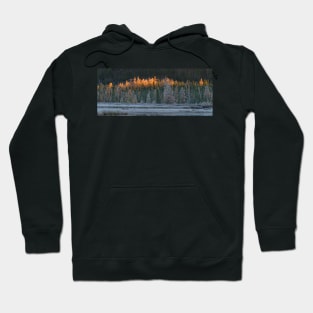 Frosty morning in Algonquin Park, Canada Hoodie